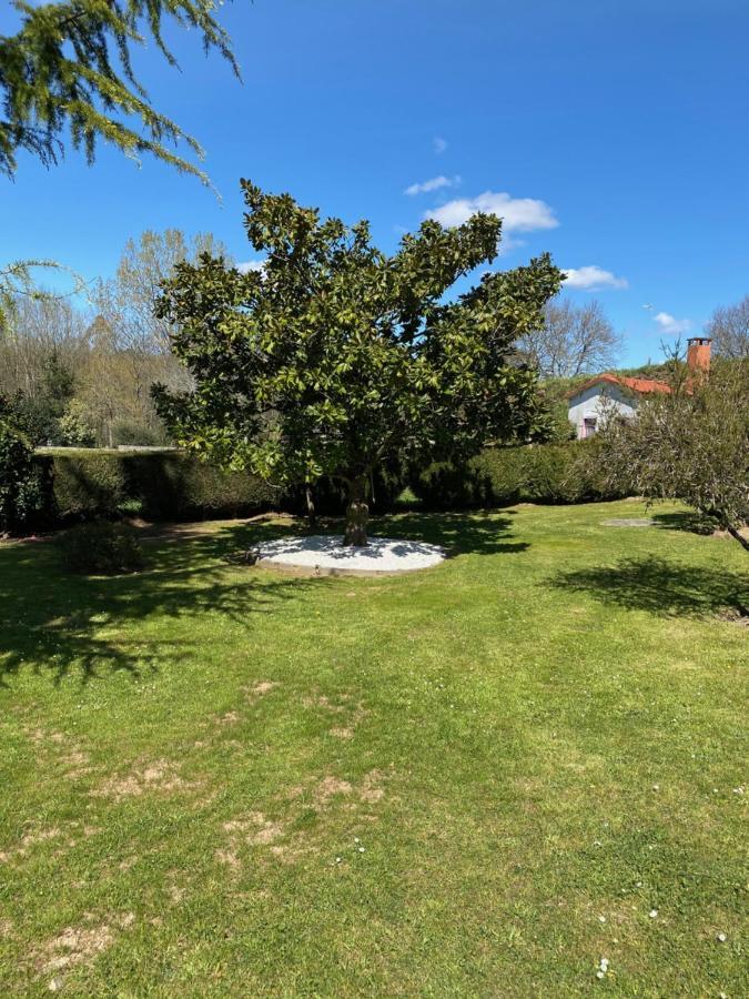 A Finca Do Rio Vello Lägenhet Arzúa Exteriör bild